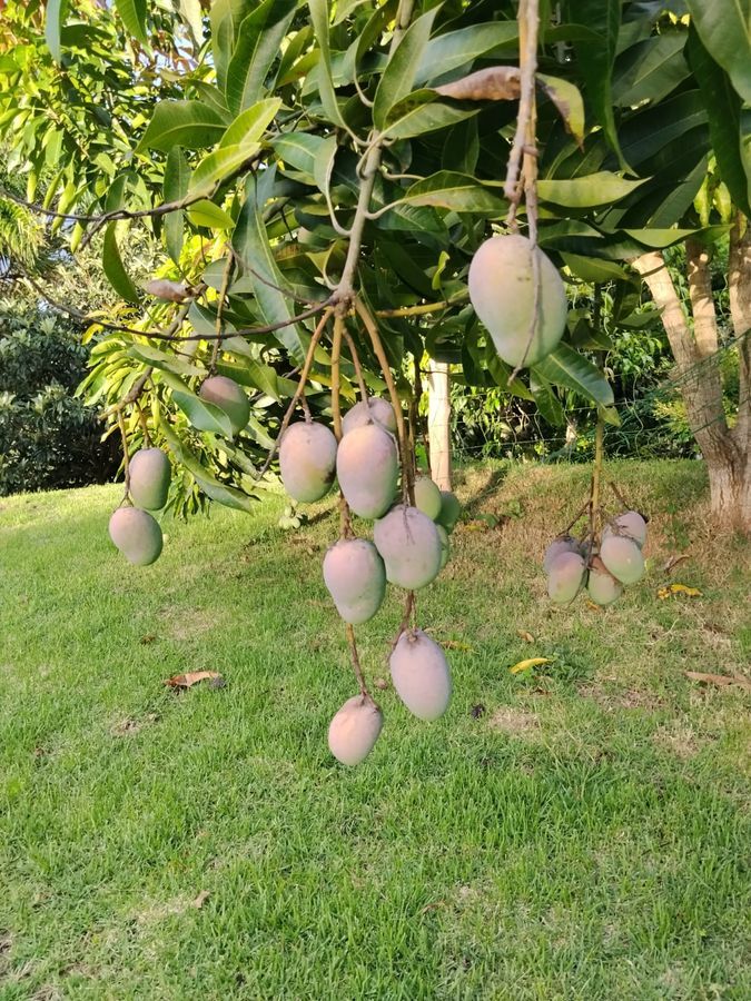 Vista externa do Recanto dos Canários — chácara de temporada em Paraibuna para até 15 hóspedes